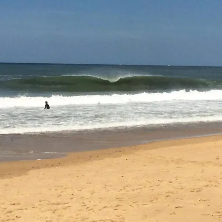 Hostel Shifting Sands Surf Camp