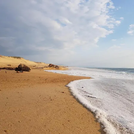 Shifting Sands Surf Camp Labenne