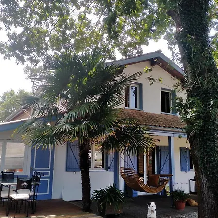 Shifting Sands Surf Camp Hostel Labenne