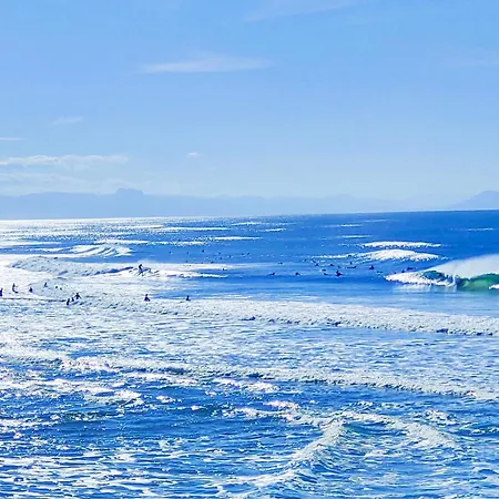 Shifting Sands Surf Camp *
