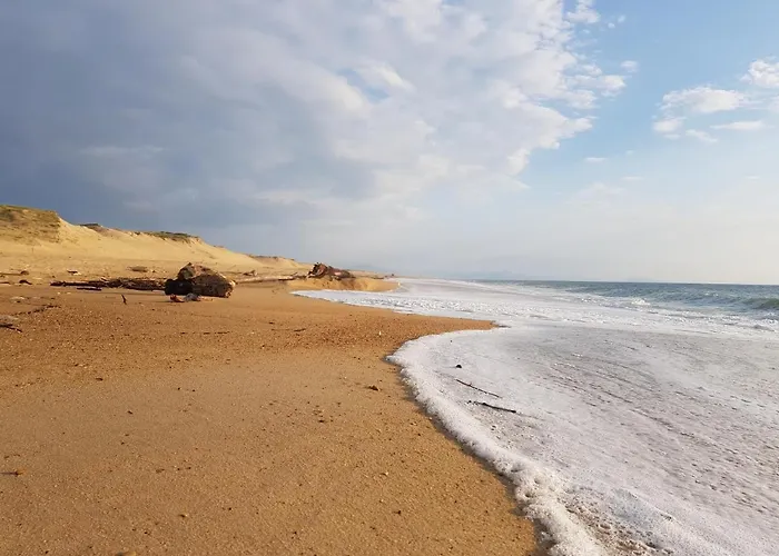 Shifting Sands Surf Camp Labenne