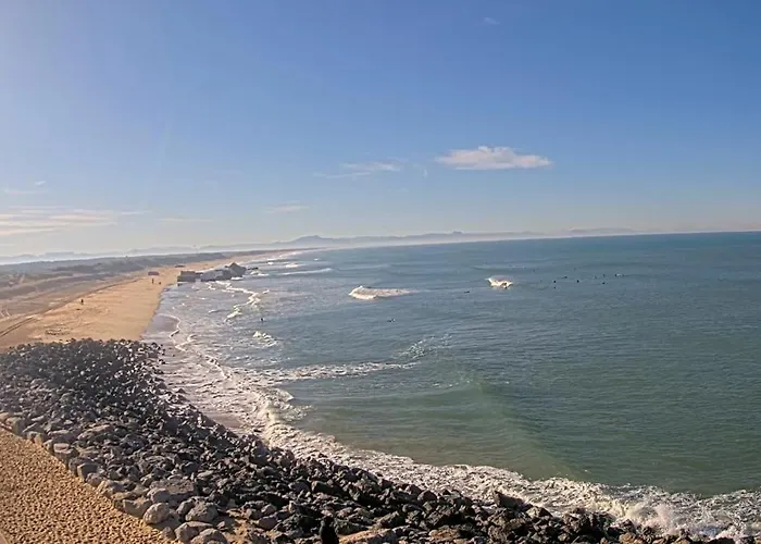 Shifting Sands Surf Camp