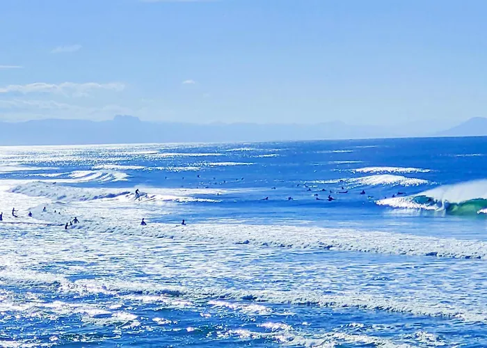 Shifting Sands Surf Camp *