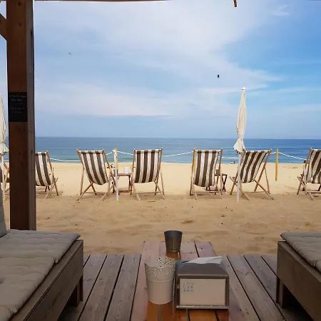 Shifting Sands Surf Camp Vandrarhem *