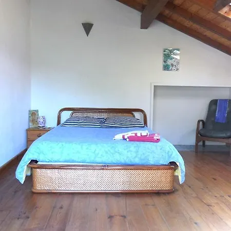 Shifting Sands Surf Camp * לבן