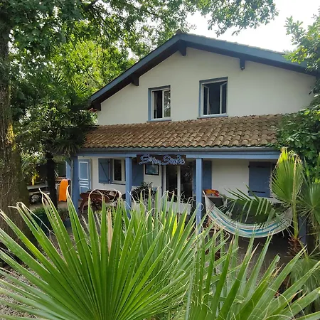 אכסניה Shifting Sands Surf Camp לבן