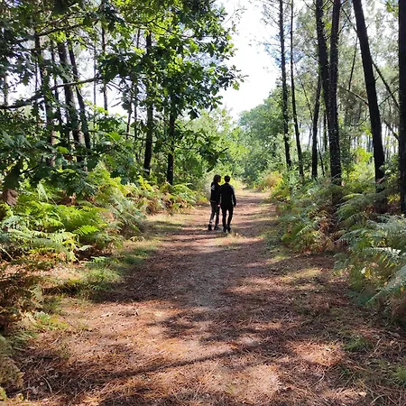Shifting Sands Surf Camp Vandrarhem