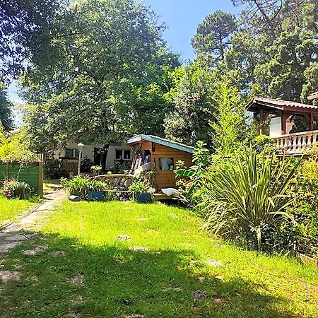 Shifting Sands Surf House Hostel *