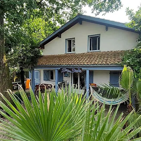 Shifting Sands Surf House Hostel *