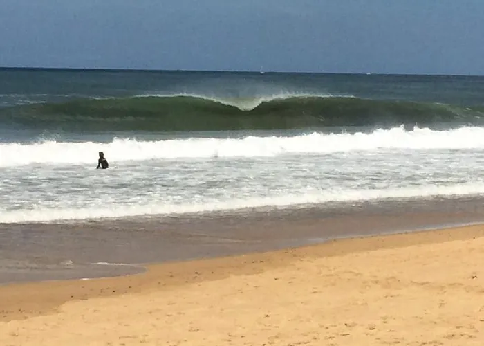 Vandrarhem Shifting Sands Surf Camp