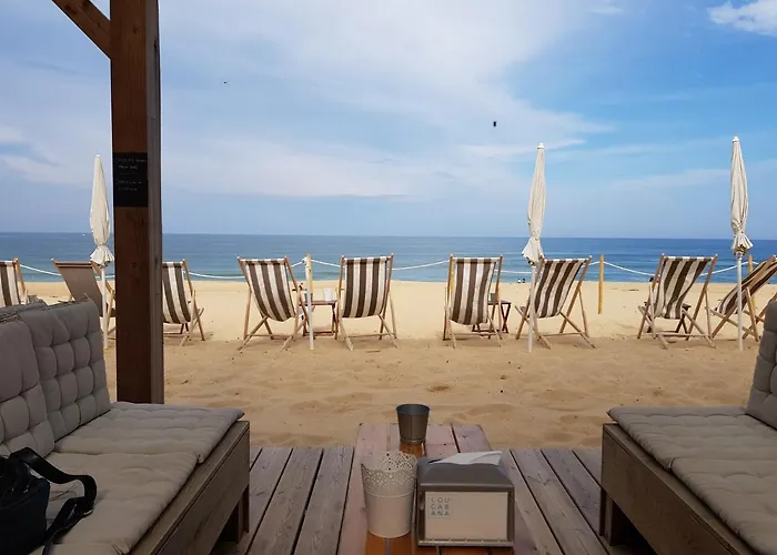 Shifting Sands Surf Camp Хостел *