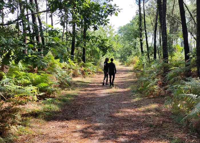 Shifting Sands Surf Camp Vandrarhem